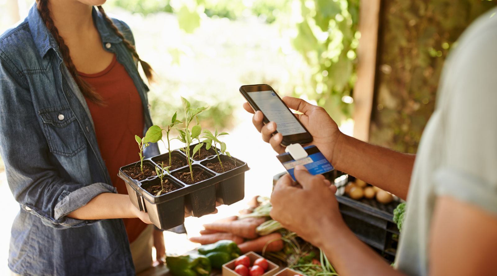 person paying for crops using card