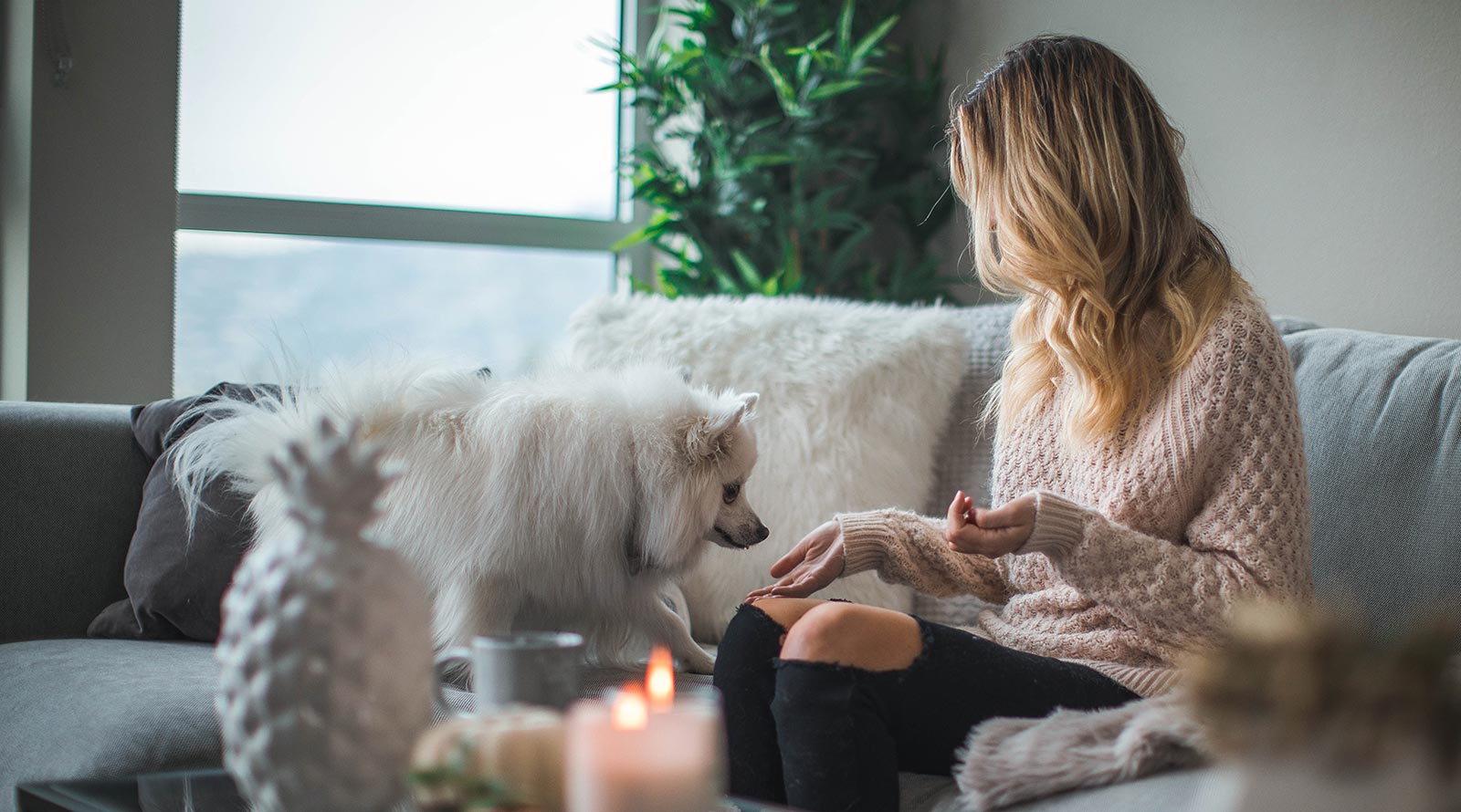 Woman and dog in living room