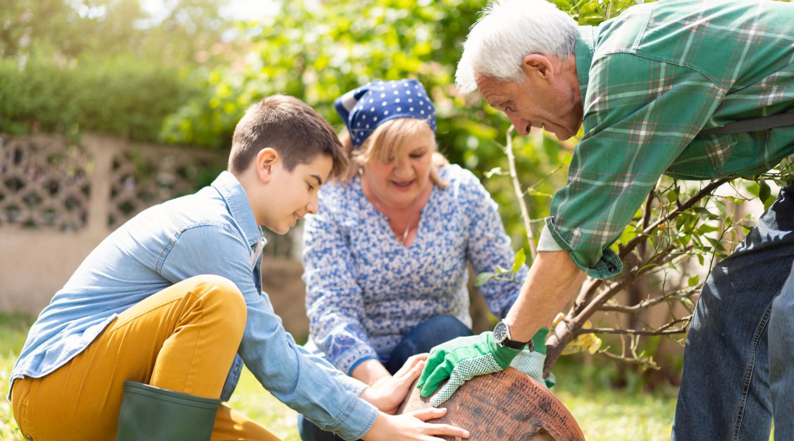 grandson and grandparents planting a tree