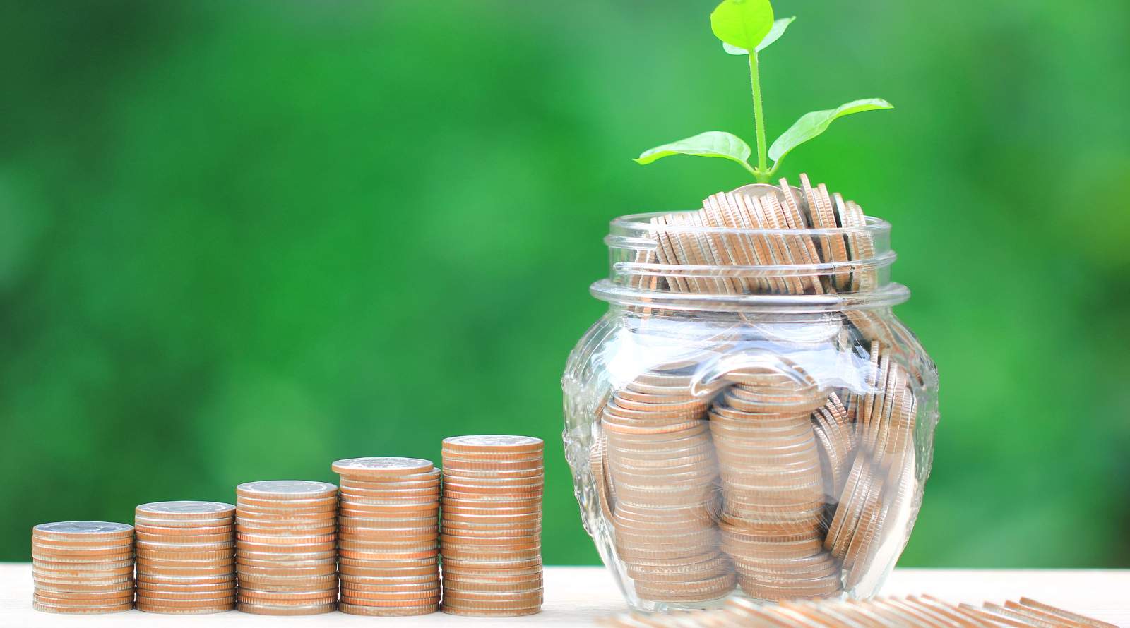 glass jar filled with coins and a green plant